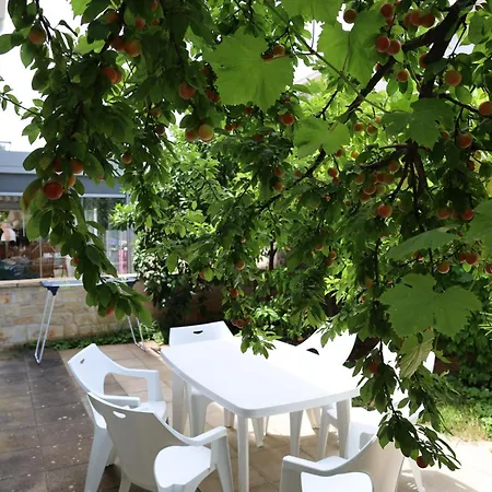 More 2, With Garden, Close To The Beach Basanija